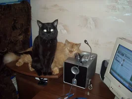 DSCN1640.webp