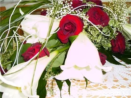 8e0d09a22e50 bLUMEN.webp 8e0d09a22e50 bLUMEN.webp
