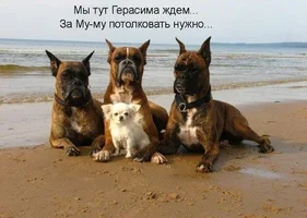 x_5e92ab75.webp x_5e92ab75.webp