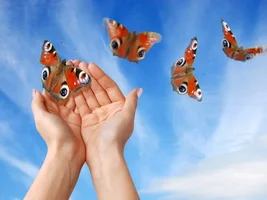 254660-800x600.webp 254660-800x600.webp