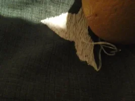 20150303_223129.webp