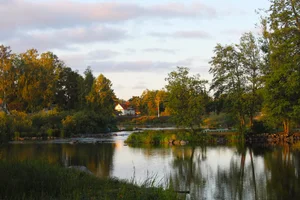 IMG_20190916_144254.webp IMG_20190916_144254.webp