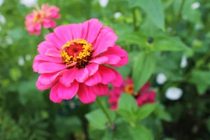 IMG_20190916_144542.webp IMG_20190916_144542.webp