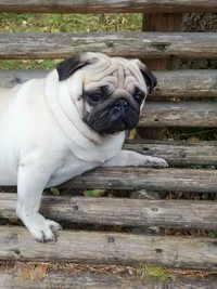 IMG_20190921_160221.webp IMG_20190921_160221.webp