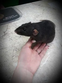 i (1).webp i (1).webp