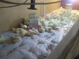 WhatsApp Image 2019-09-29 at 17.30.30.webp