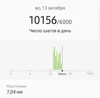 Screenshot_20191013-155103_Samsung Health.webp