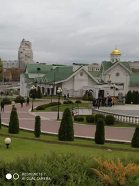 1570984706401.webp 1570984706401.webp