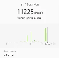 Screenshot_20191015-211028_Samsung Health.webp