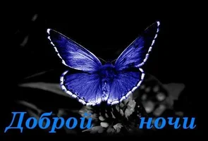 1896822_1523849734551261_3250517727207159995_n.webp 1896822_1523849734551261_3250517727207159995_n.webp