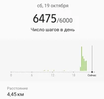 Screenshot_20191019-232716_Samsung Health.webp