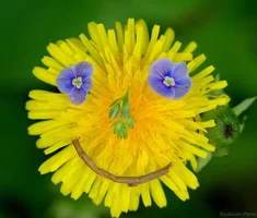 post-166685-1367028490.webp post-166685-1367028490.webp