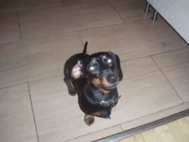 PA045743.webp PA045743.webp