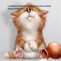 utro-dobroe-kartinki-prikolnye-s-nadpisyami-humoraf.ru-96.webp utro-dobroe-kartinki-prikolnye-s-nadpisyami-humoraf.ru-96.webp