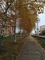 IMG_20191019_141347.jpg