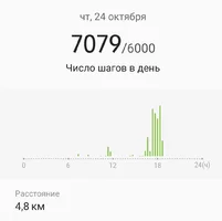 Screenshot_20191026-112534_Samsung Health.webp