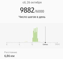 Screenshot_20191026-184000_Samsung Health.webp