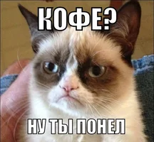 M0nTv31RWcs.webp