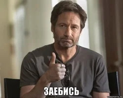 13843357576072.webp