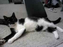 фото0146.webp фото0146.webp