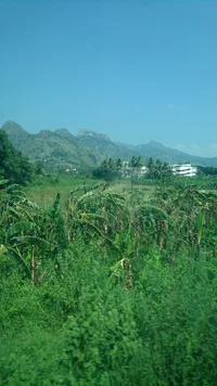 DSC_0215.JPG DSC_0215.JPG