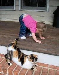 Без названия (1).webp