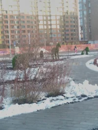 IMG_20191107_075327.webp