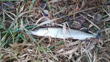 IMG-ebecfda141c865fe478fce69ebf4056d-V.jpg IMG-ebecfda141c865fe478fce69ebf4056d-V.jpg