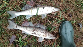 IMG-0ac4dbcfa05c17f4d3e6396c23880868-V.jpg IMG-0ac4dbcfa05c17f4d3e6396c23880868-V.jpg