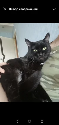 Screenshot_20191116_224917_com.android.gallery3d.webp Screenshot_20191116_224917_com.android.gallery3d.webp