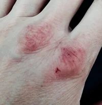 image1-4.webp image1-4.webp