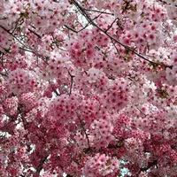 46a61e238996.webp