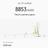 Screenshot_20191120-205159_Samsung Health.webp