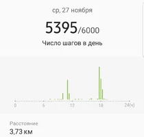 Screenshot_20191129-221103_Samsung Health.webp