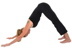 1575703586518.webp 1575703586518.webp