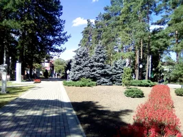 image - 2019-12-13T085215.893.webp