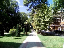 image - 2019-12-13T085226.202.webp