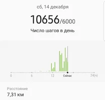 Screenshot_20191214-163016_Samsung Health.webp