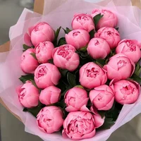 reI035YnJHs (1).webp