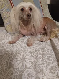 IMG_20191021_211227.webp IMG_20191021_211227.webp