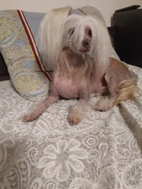 IMG_20191021_211217.webp IMG_20191021_211217.webp