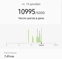 Screenshot_20191219-171827_Samsung Health.webp