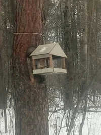 P91221-112912.webp P91221-112912.webp