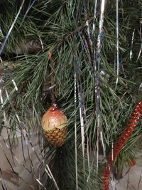 IMG_20191223_193635.webp IMG_20191223_193635.webp