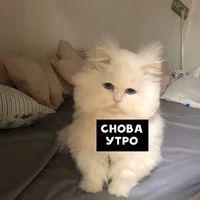 UGl466iTojM.webp UGl466iTojM.webp