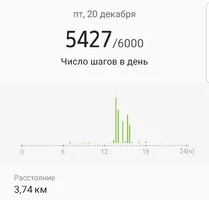 Screenshot_20191224-184947_Samsung Health.webp