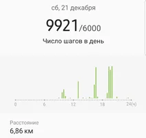 Screenshot_20191224-184933_Samsung Health.webp