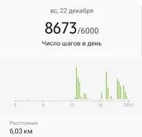 Screenshot_20191224-184920_Samsung Health.webp