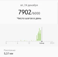 Screenshot_20191224-184906_Samsung Health.webp