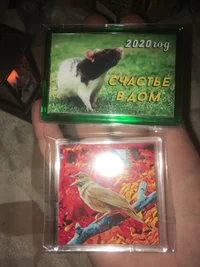 17E8A585-44F9-4E17-B191-59FAC5A6281C.webp 17E8A585-44F9-4E17-B191-59FAC5A6281C.webp